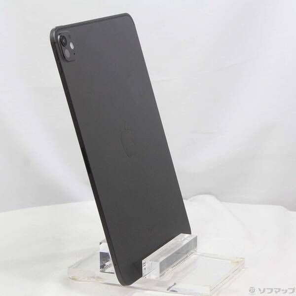 中古品〕 iPad Pro 11インチ 第5世代 標準ガラス 256GB スペース