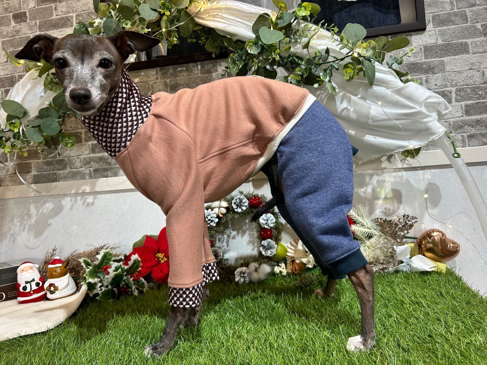 イタグレ服 ロンパース ※ラスト1着 現品限り※ - メルカリ