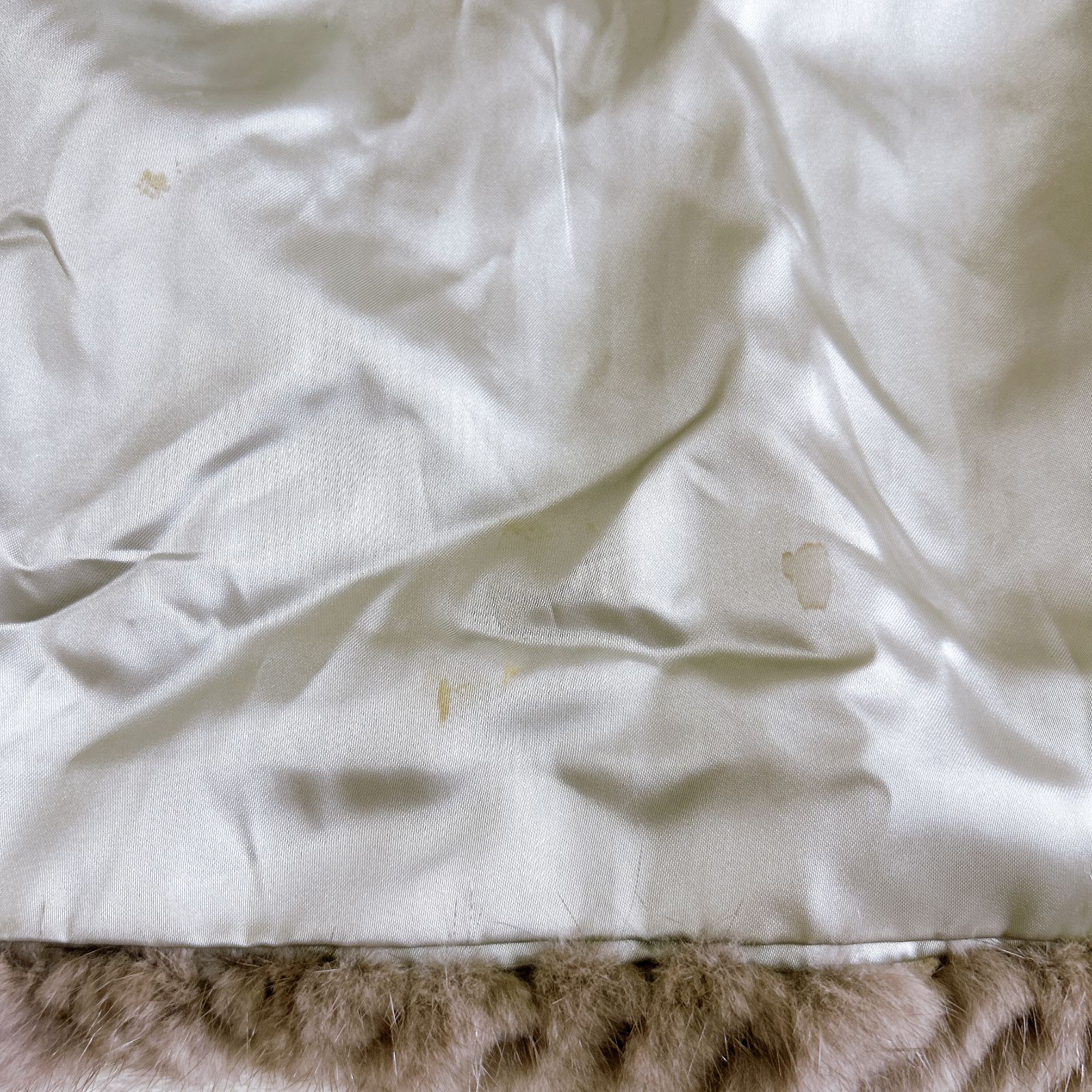 コート ゴールデンフォックス