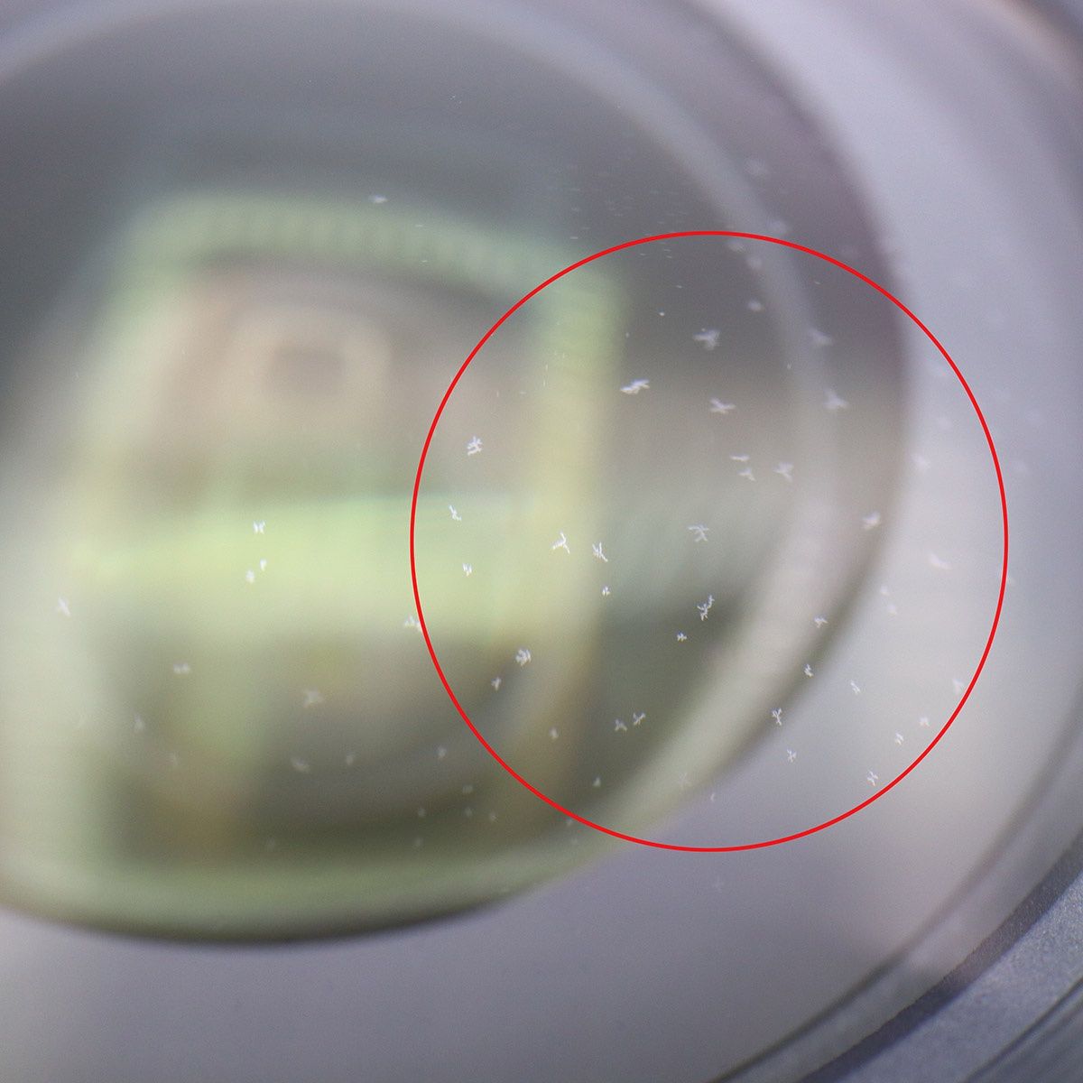 レンズフード付き 24