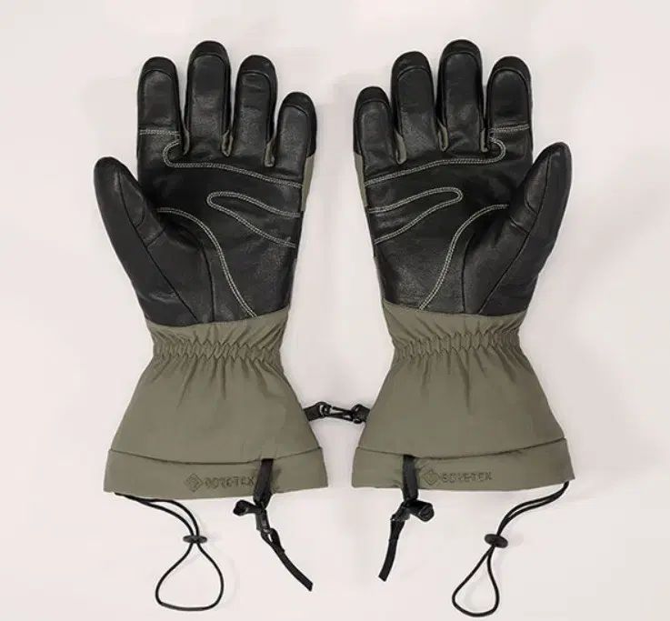 ARC TERYX アークテリクス フィション SV 手袋