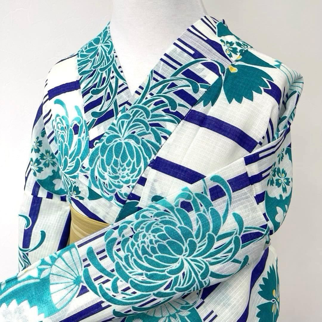 着物と帯 時流 Y 25912 s 浴衣 綿紅梅 大きいサイズ ふくよかサイズ