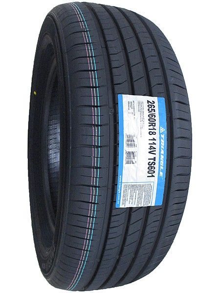 サマータイヤ EffeX