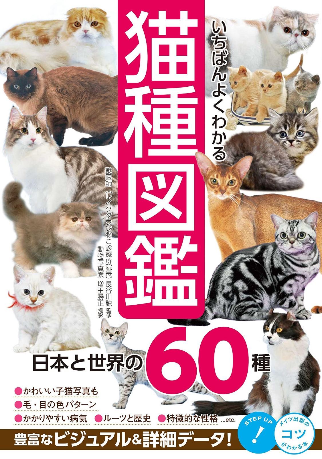 八木勇征2nd台湾ファンミグッズ Tシャツ・トートバッグ、シュシュ 八木勇征2nd台湾ファンミグッズ Tシャツ・トートバッグ、シュシュ