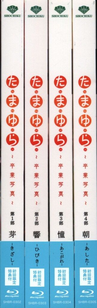 防水シート 厚0.4mm 不浸透性フィルム 防水 幅3m×長10m 1869 材料・資材 防水シート 厚0.4mm 不浸透性フィルム 防水 幅3m×長10m 1869