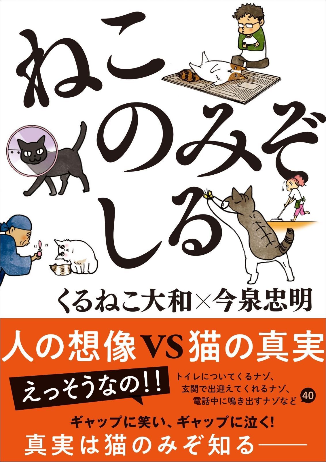 豊富な，品質保証 ねこのみぞしる その他