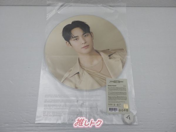 SEVENTEEN MINGYU うちわ RIGHT HERE WORLD TOUR IMAGE PICKET