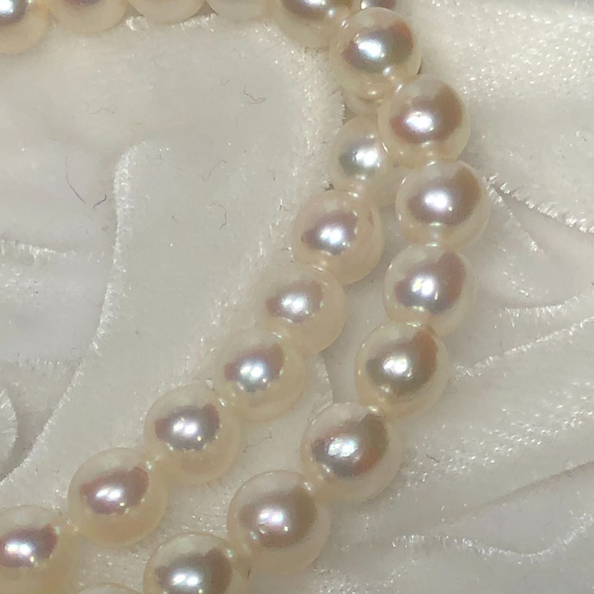 あこや真珠】5.9-6.2mm 40cm 23.5g 本真珠 アコヤ ネックレス パール あこや真珠】5.9-6.2mm 40cm 23.5g 本真珠 アコヤ ネックレス パール