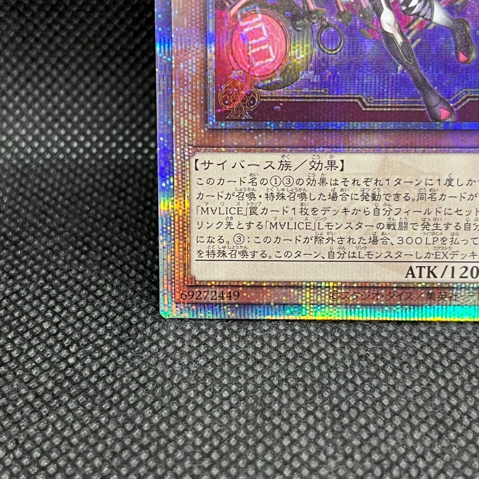 WhiteRabbit クォーターセンチュリーシークレット