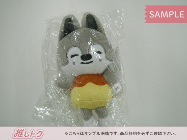 Stray Kids BANG CHAN 2nd World Tour MANIAC ENCORE in JAPAN バッグ