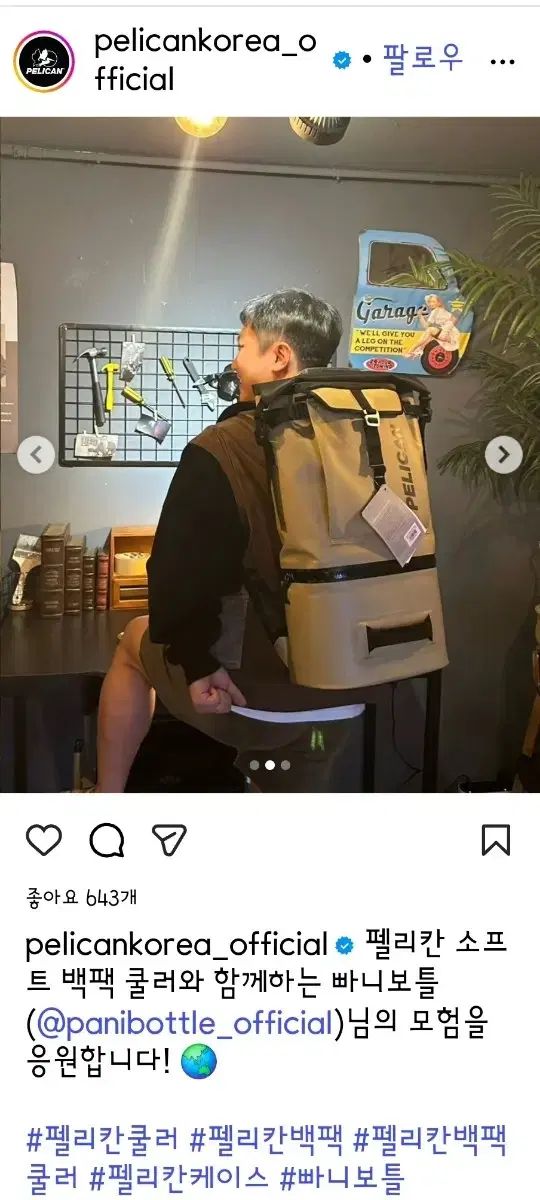 ボトル バッグ ペリカン ソフト バックパック クーラー