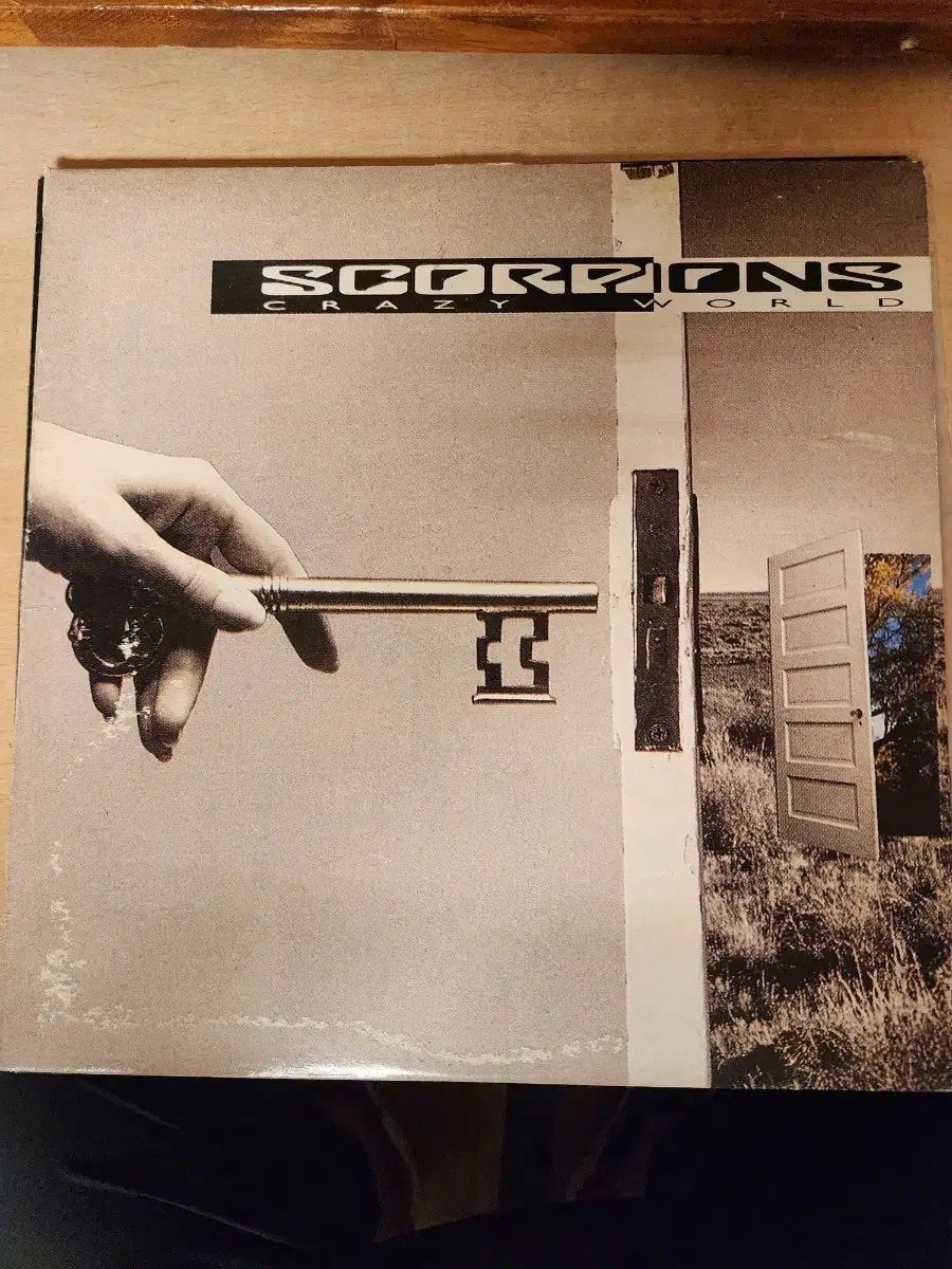 痴虫 チムシ でっカブメスJr 野ゴイ デジタルストラクチャー オリカラ