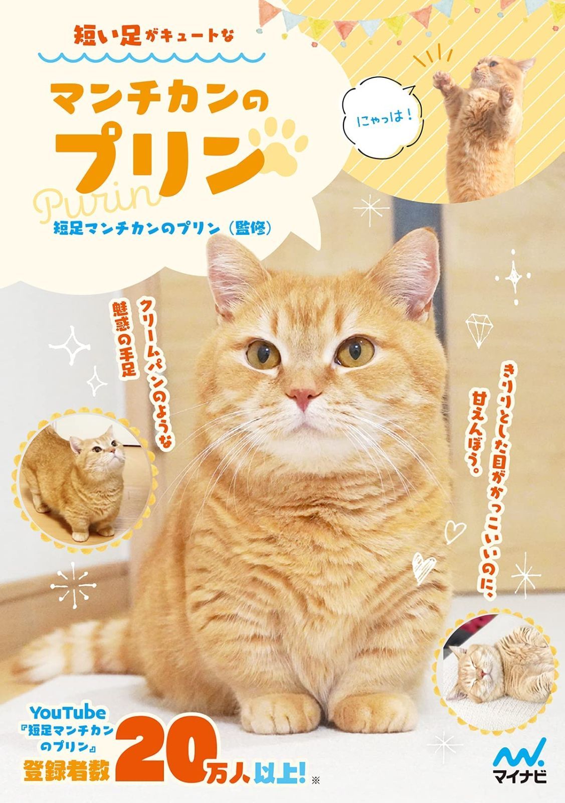 昭和 中国 火鉢 陶器 水鉢 たちばな焼き 花瓶 染付け