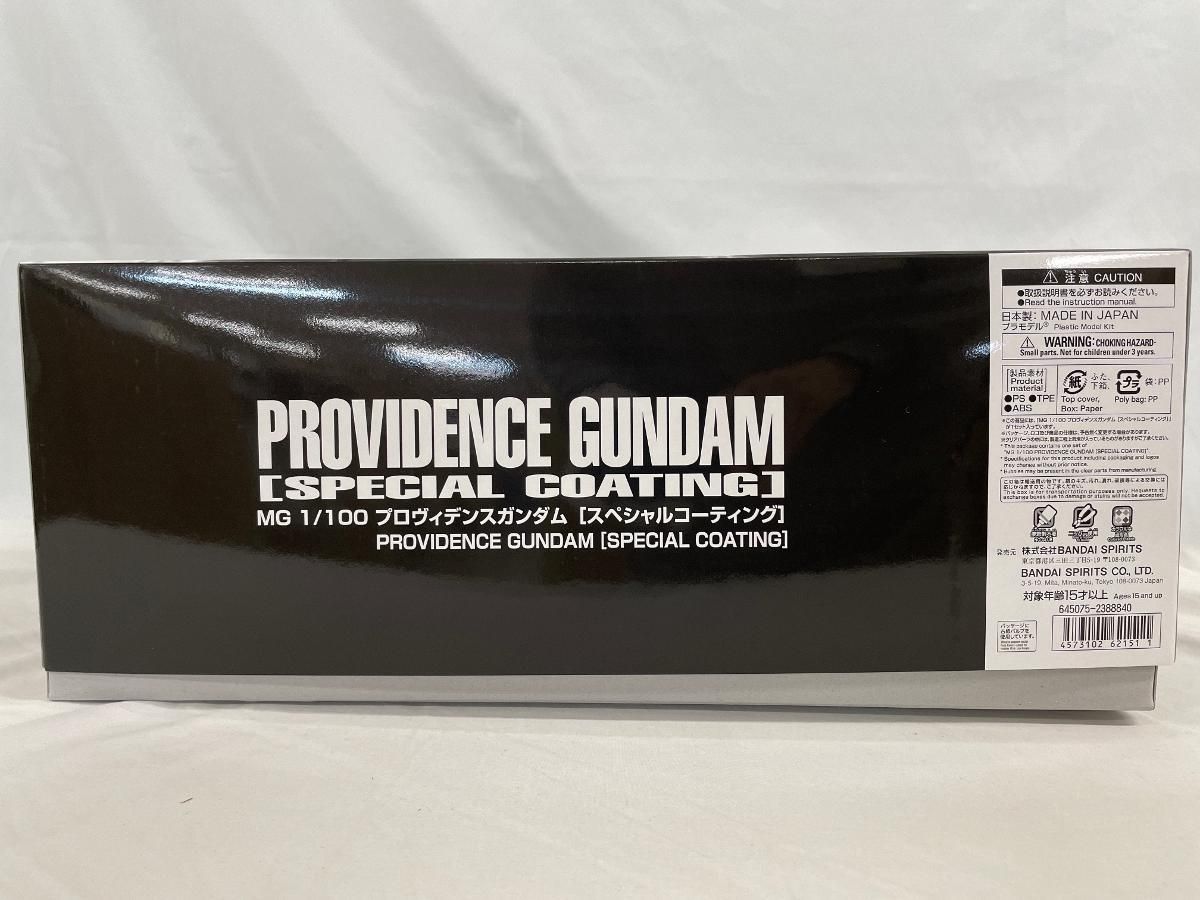1 100 MG ZGMF X 13 A プロヴィデンスガンダム コーティング 機動戦士ガンダムSEED バンダイ