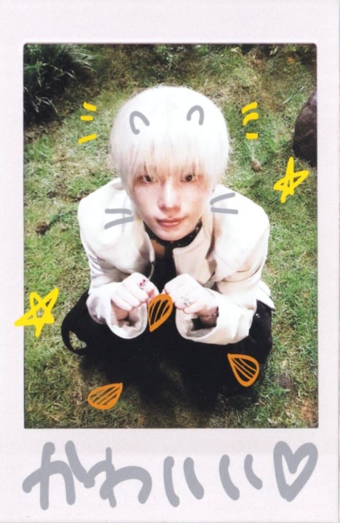 &TEAM Photocard Box HARUA Back to Life KR 1st Mini Album チェキ