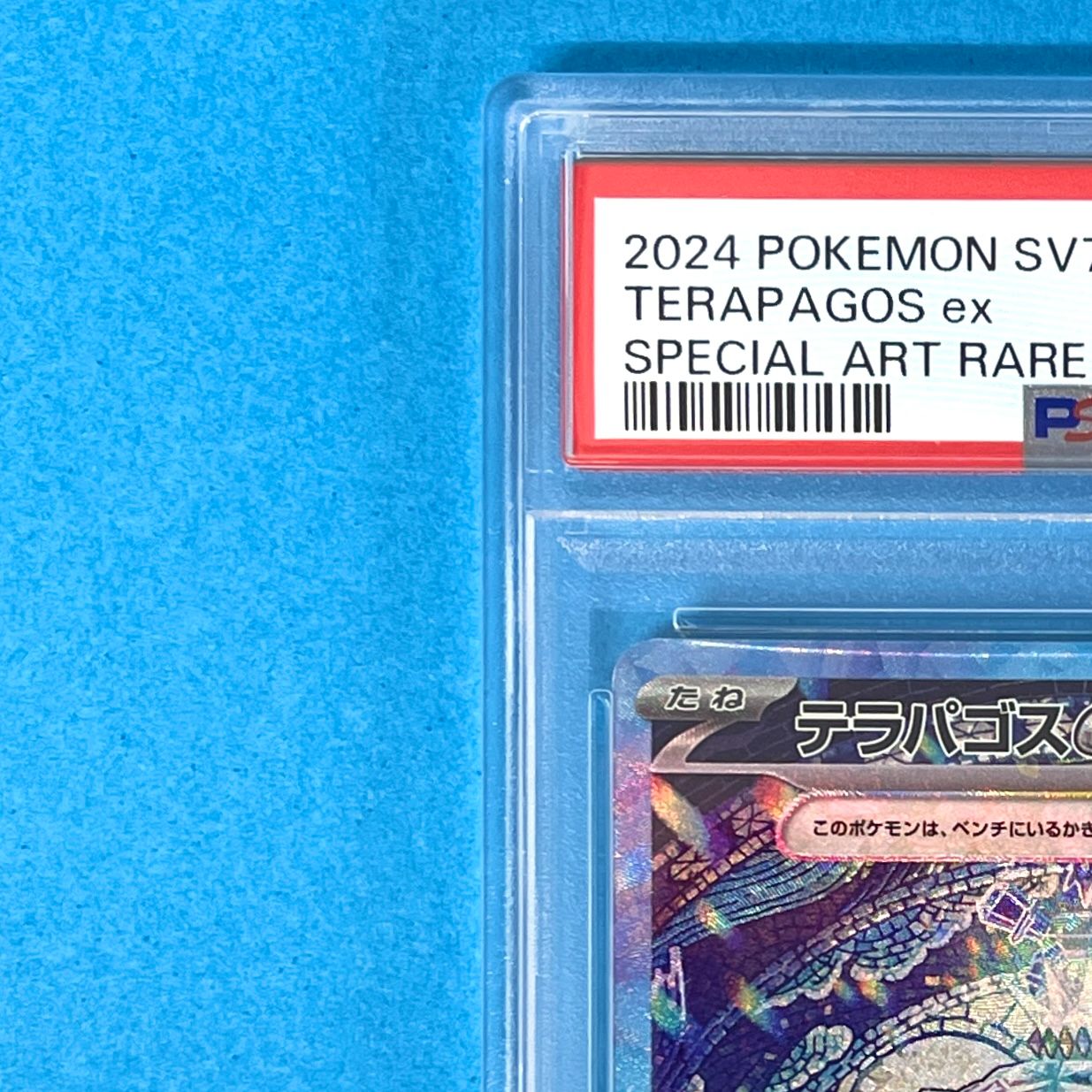 PSA10】 テラパゴスex sv7 130/102 SAR ポケモンカード [ステラ