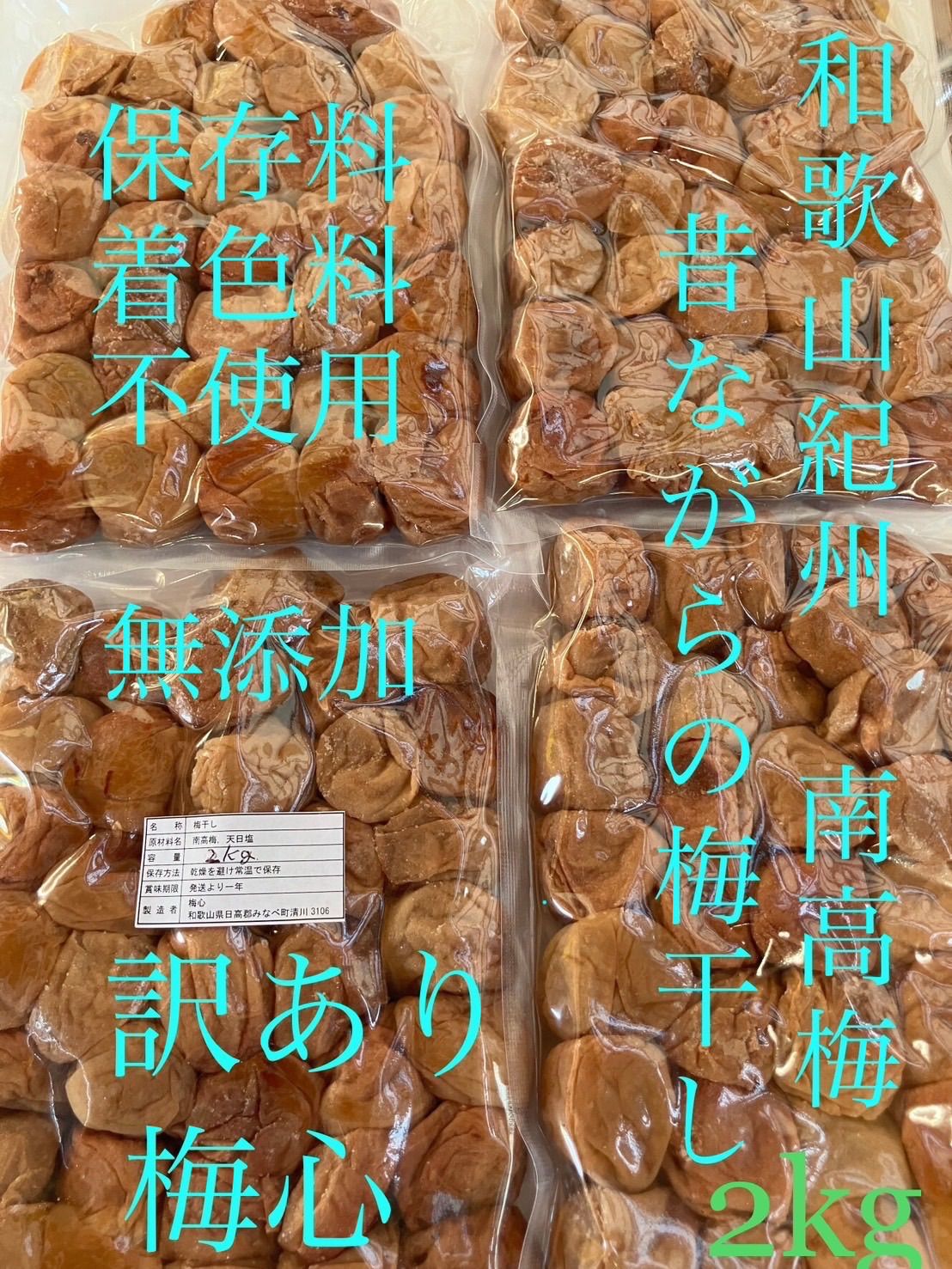 漆刷毛 長毛通し（上）五分（約1.9cm) 10本セット 漆刷毛 長毛通し（上）五分（約1.9cm) 10本セット 漆刷毛 長毛