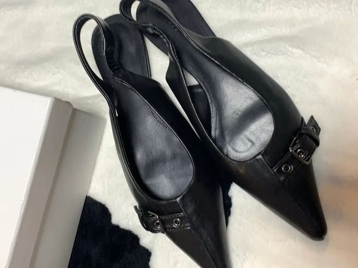 ダイニット バックルミュール ブラック 240