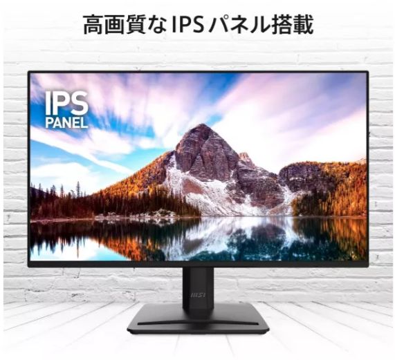 MSI PRO MP252 E2 24.5インチ IPS (FHD) PCモニター - メルカリ