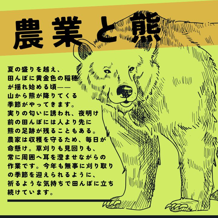 新米 あきたこまち 白米 or 玄米 20kg 10kg×2袋 令和7年度産 米袋入り