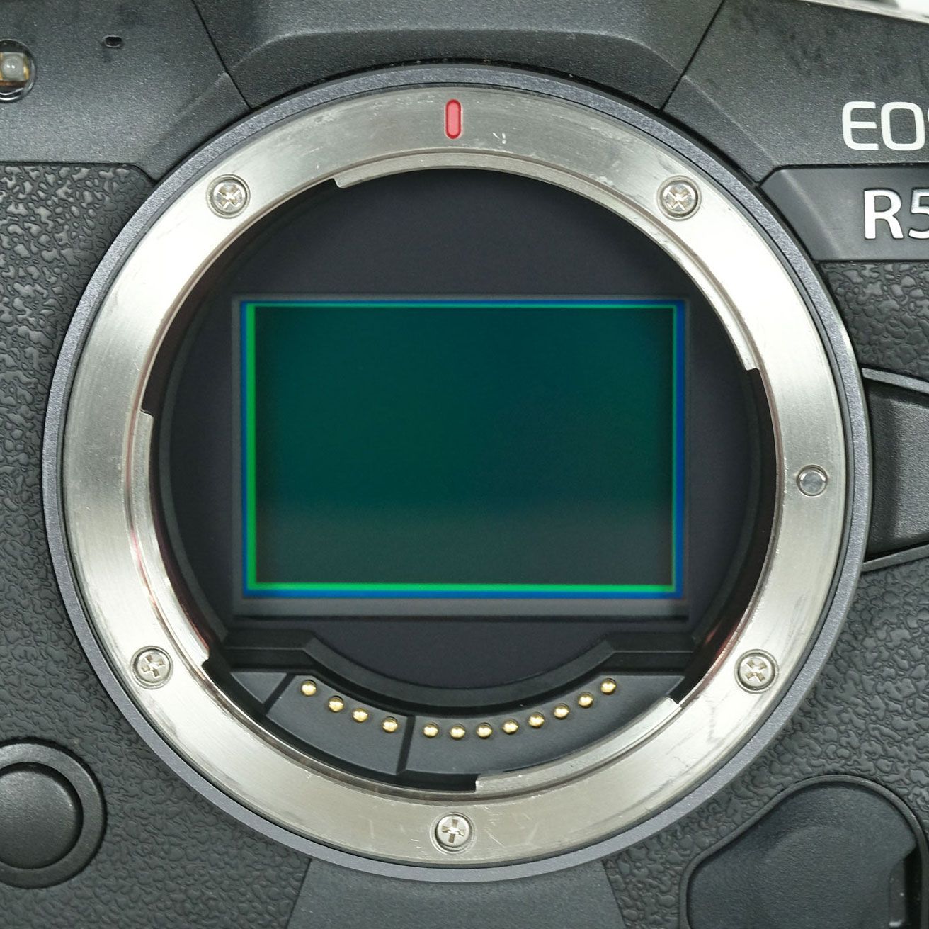 バッテリーグリップ付 Canon