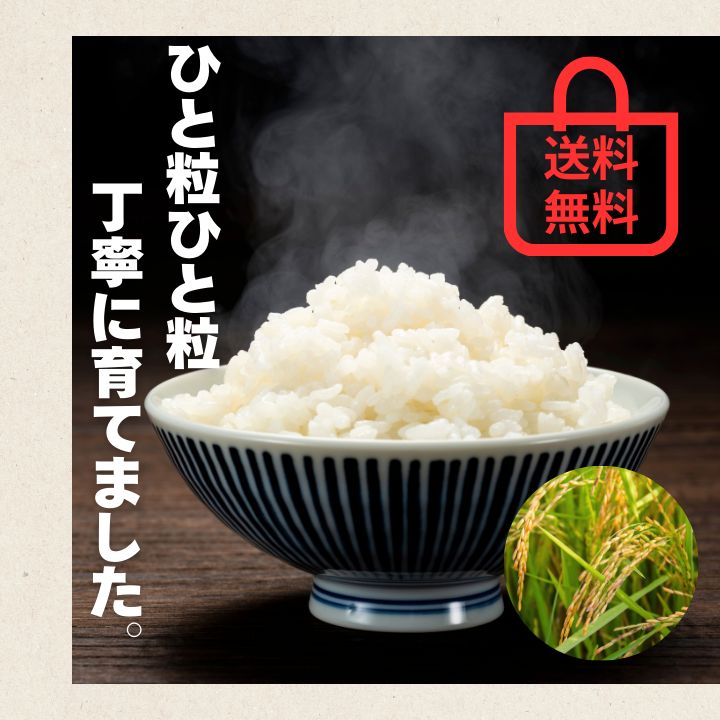 あきたこまち 白米/玄米 10kg 令和7年度産 秋田県産 - メルカリ