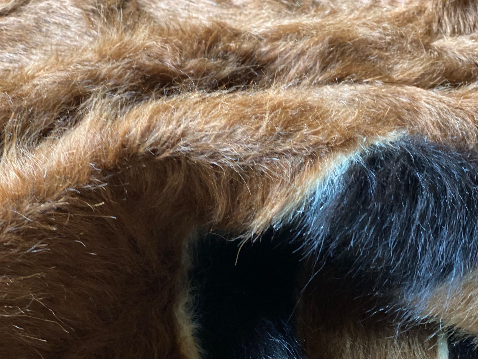 最高級のヴィンテージのシイルトバッタニイェなら当店で！現地直輸入