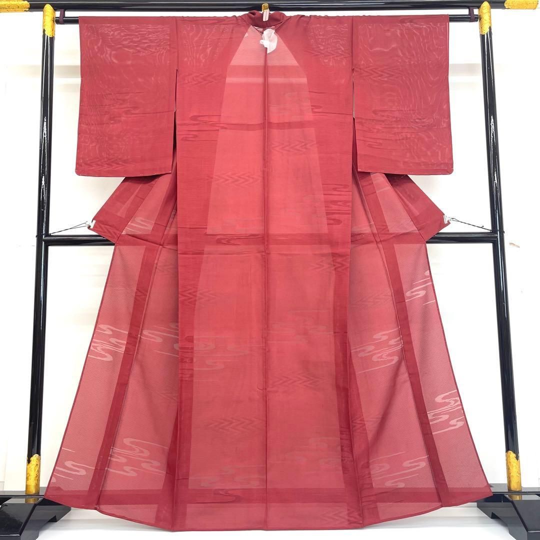 着物と帯 時流 SK 25812 s 正絹 夏着物 色無地 トールサイズ 絽 通紋