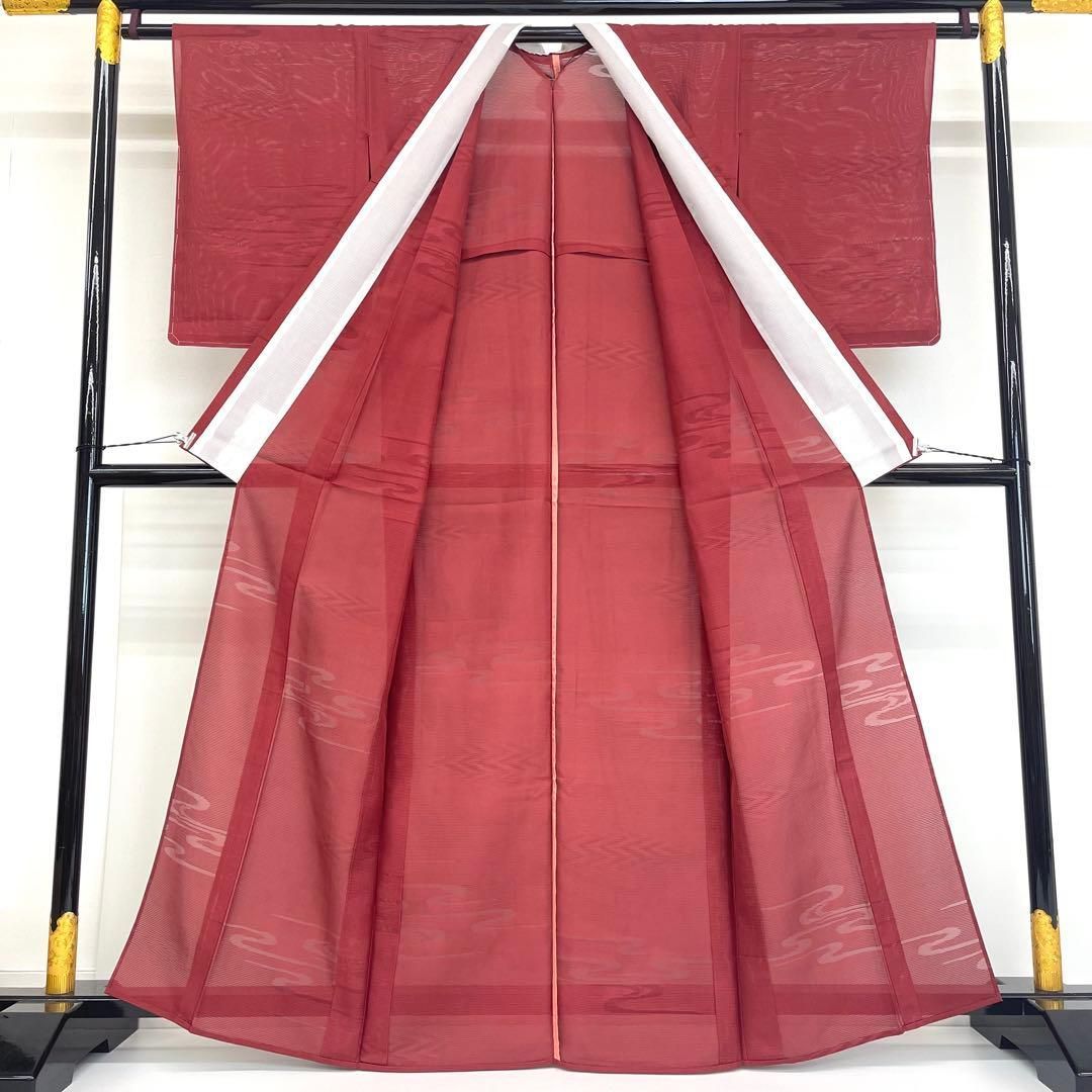 トールサイズ 絽