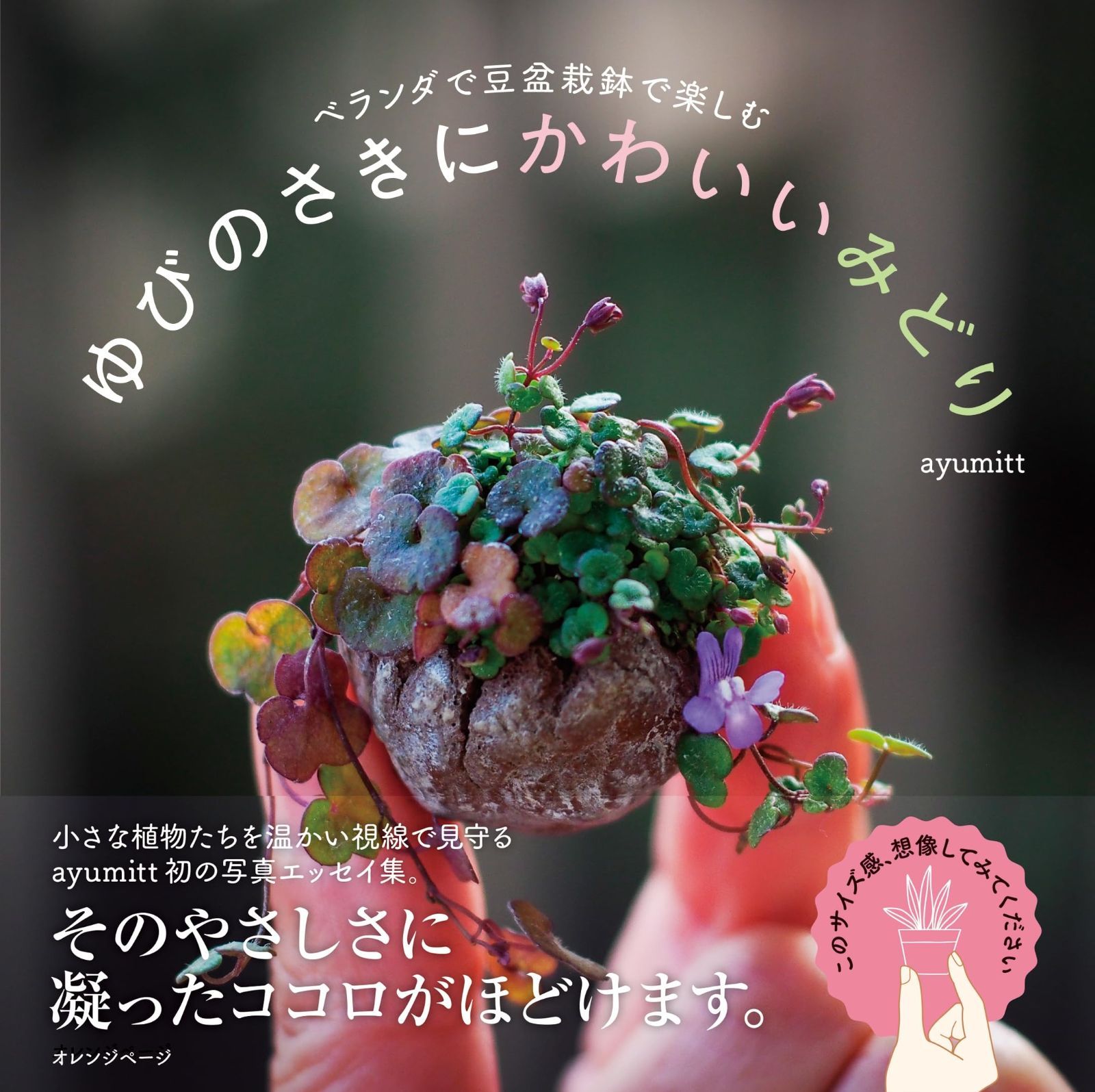 ベランダで豆盆栽鉢で楽しむ ゆびのさきにかわいいみどり