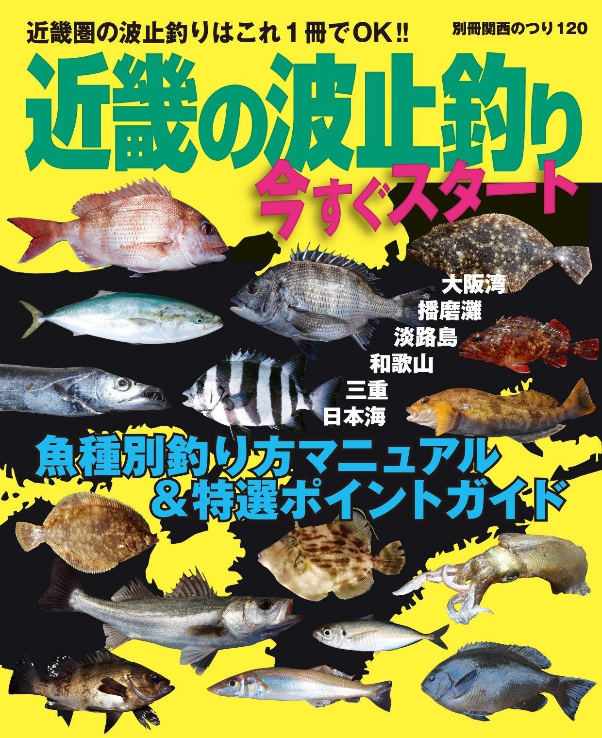 高品質，爆買い 近畿の波止釣り 今すぐスタート (別冊関西のつり 120) その他