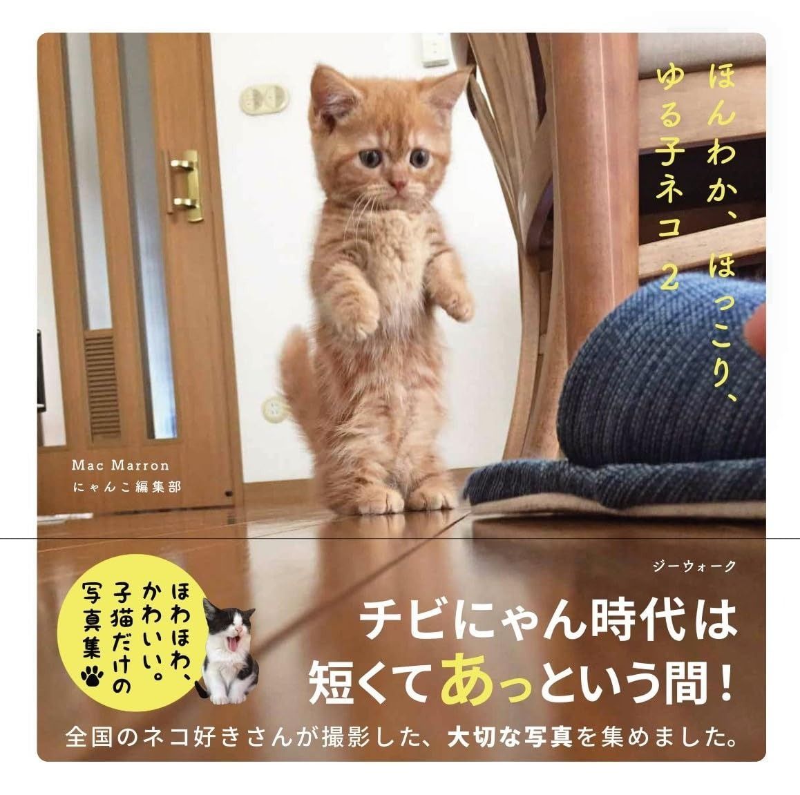 ほんわか、ほっこり、ゆる子ネコ 2 ([テキスト])