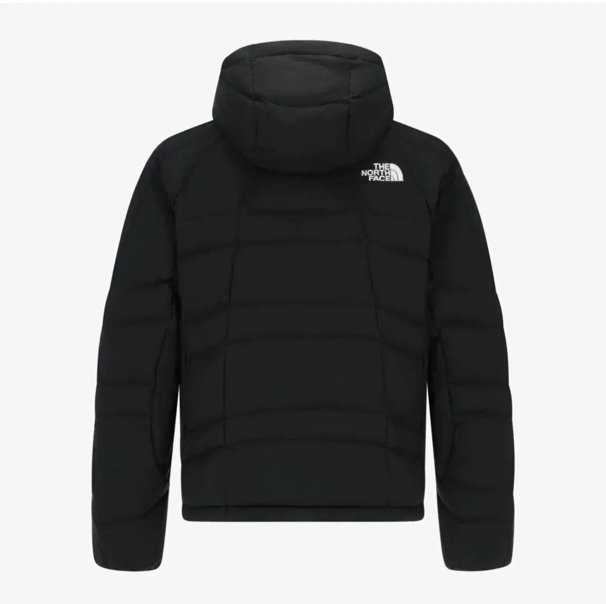 L ザノースフェイス デイドライ OVERDRIVE EX オン ジャケット