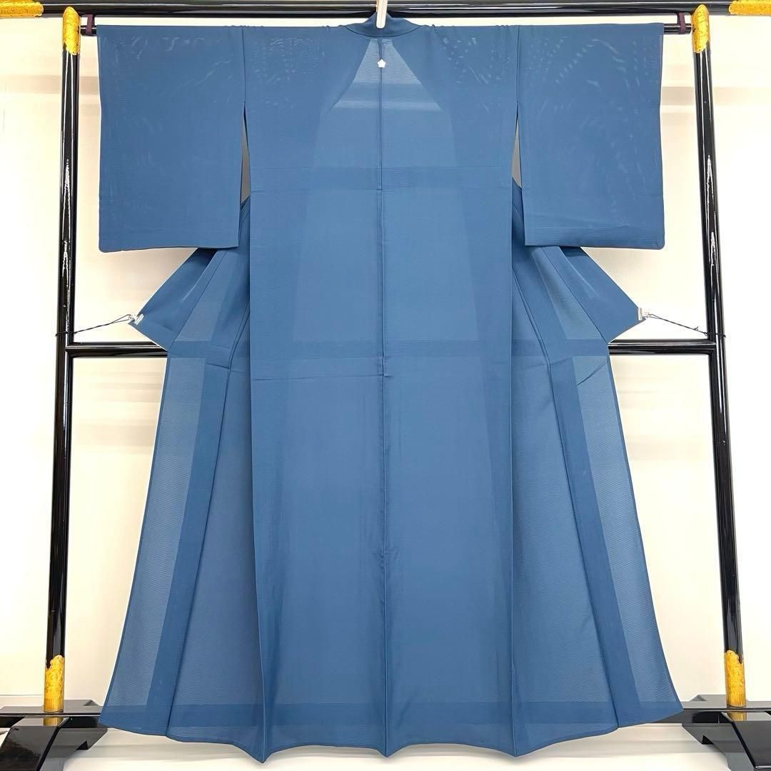 着物と帯 時流 SK 25806 s 正絹 夏着物 色無地 裄ロング 絽