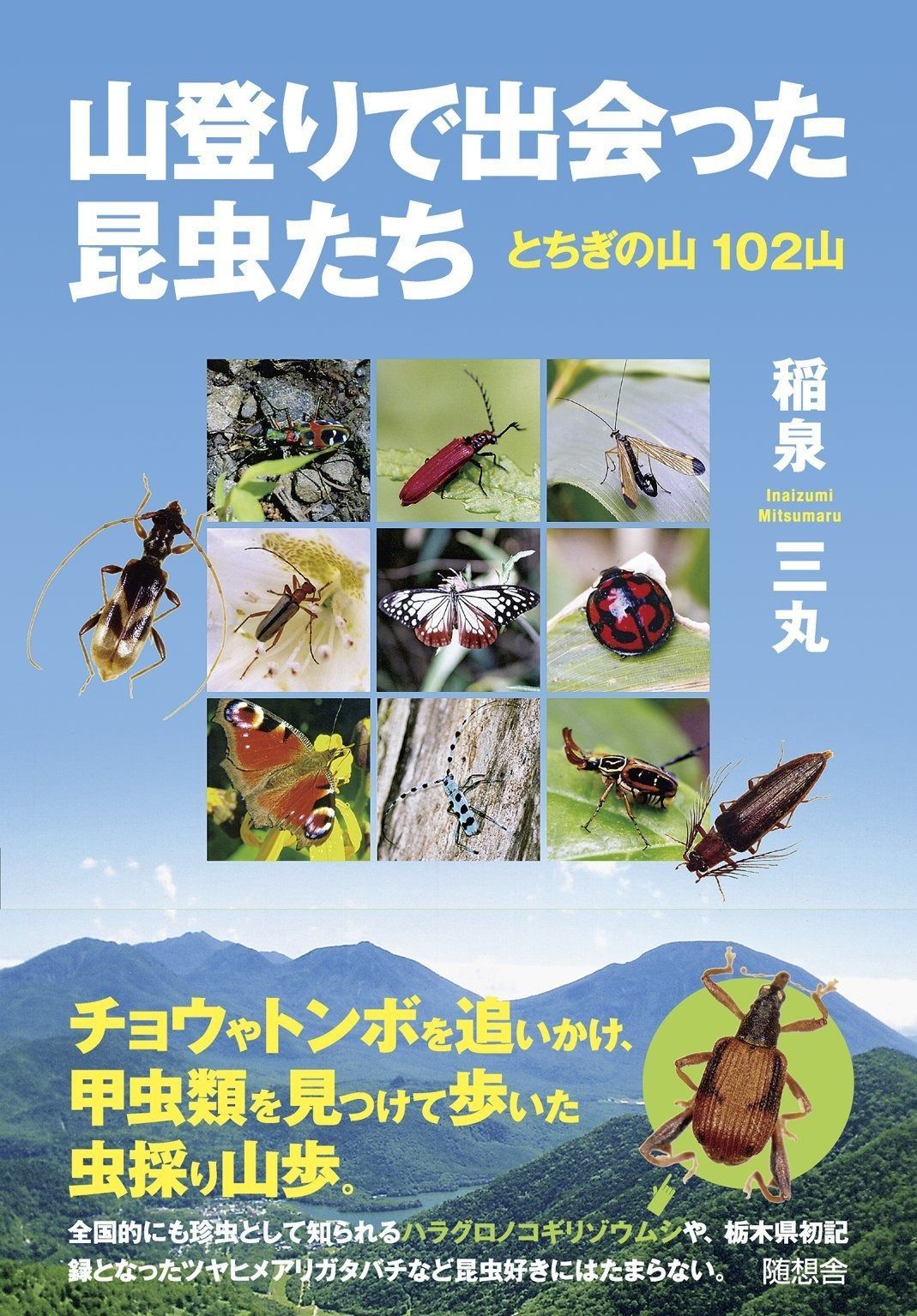 蝶さん専用ページ 山登りで出会った昆虫たち とちぎの山102山
