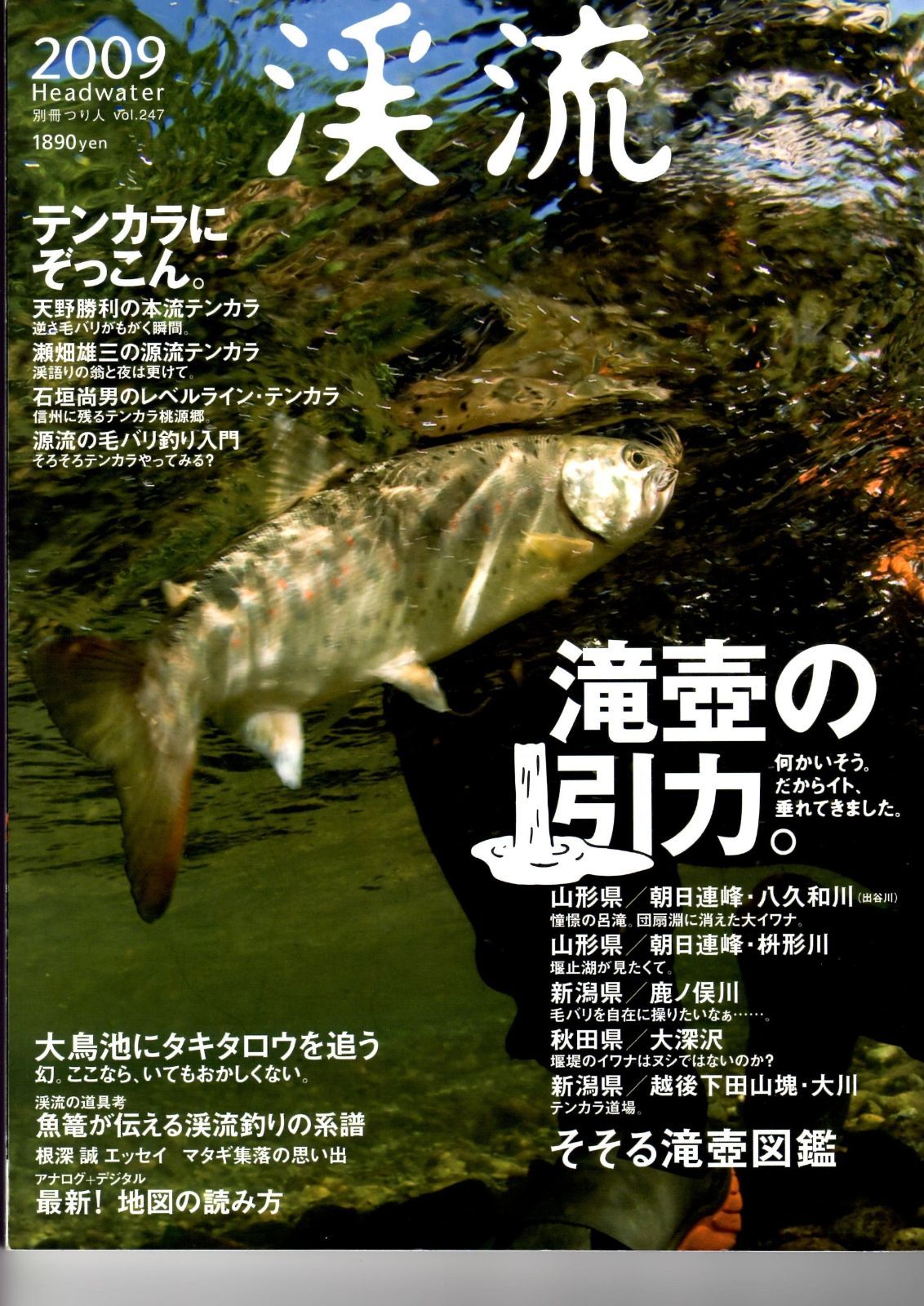 渓流 2009Headwater (別冊つり人 Vol. 247) - メルカリ