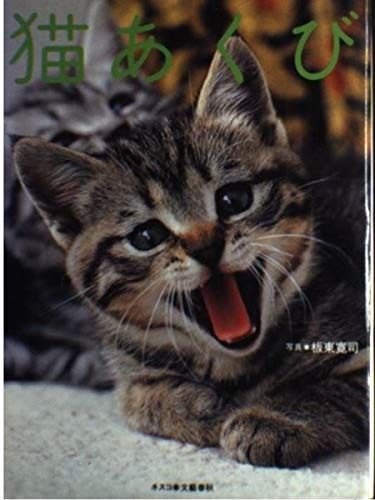 猫あくび - メルカリ