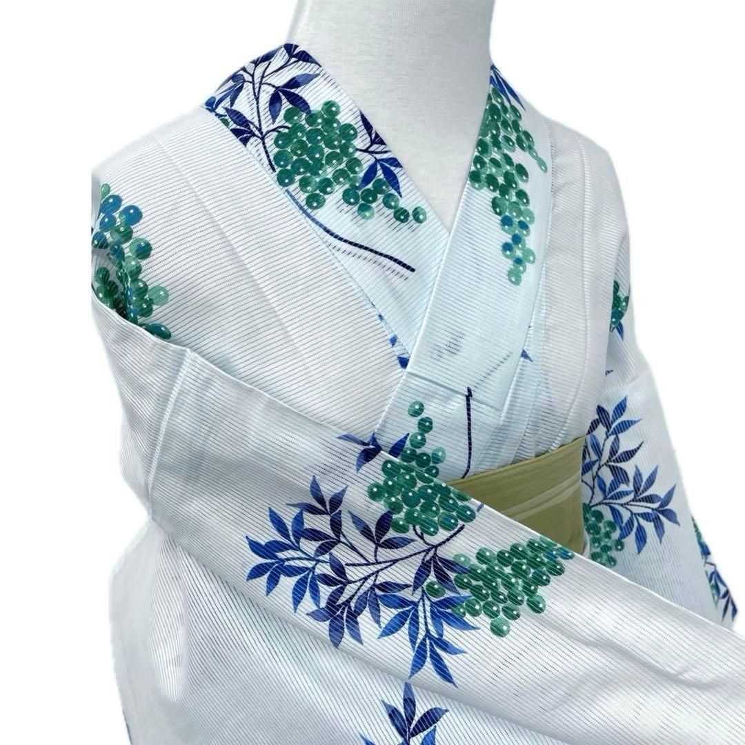 着物と帯 時流 Y 25777 s 浴衣 綿絽 綿 木の実 水色