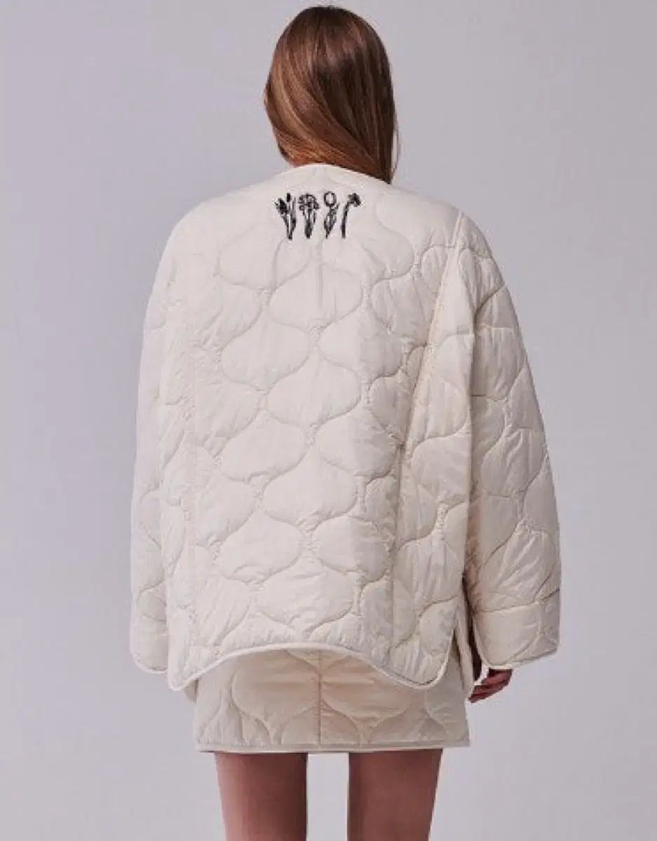 進化のダイナミクス 生命の謎を解き明かす方程式