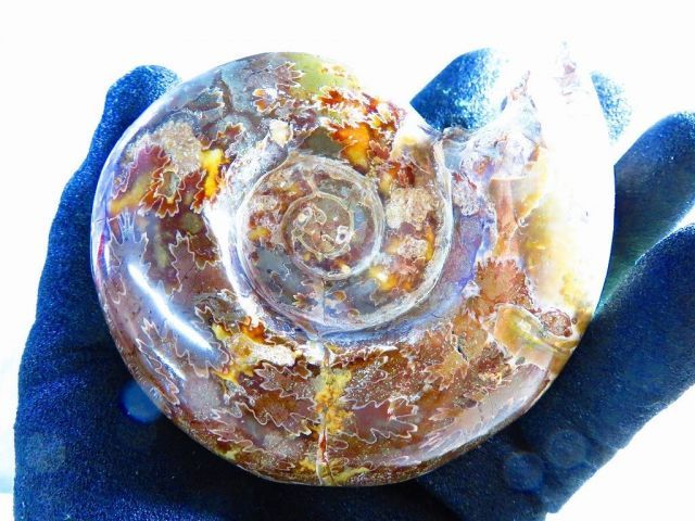 天然マダガスカル産