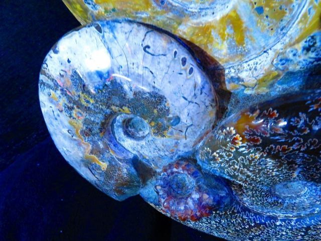 天然マダガスカル産