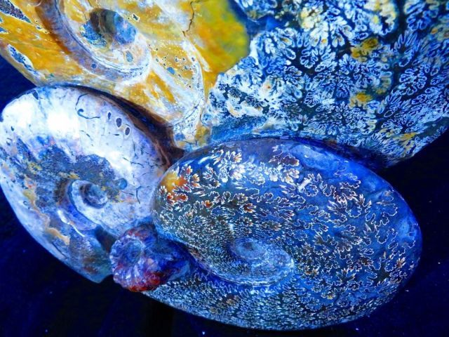 絶品数万個の中の一個