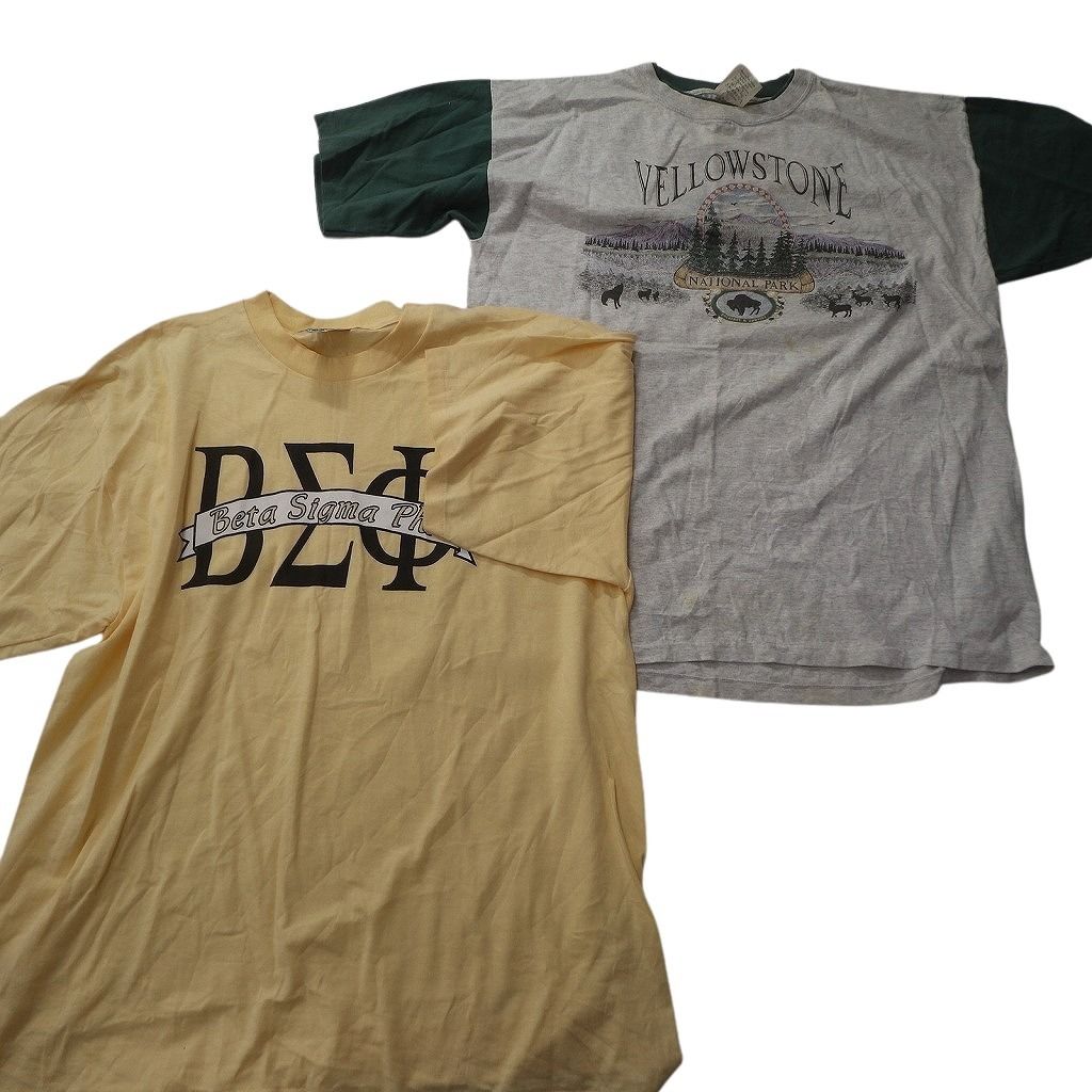 古着卸 まとめ売り シングル 半袖Tシャツ 10枚セット (メンズ 2XL /3XL