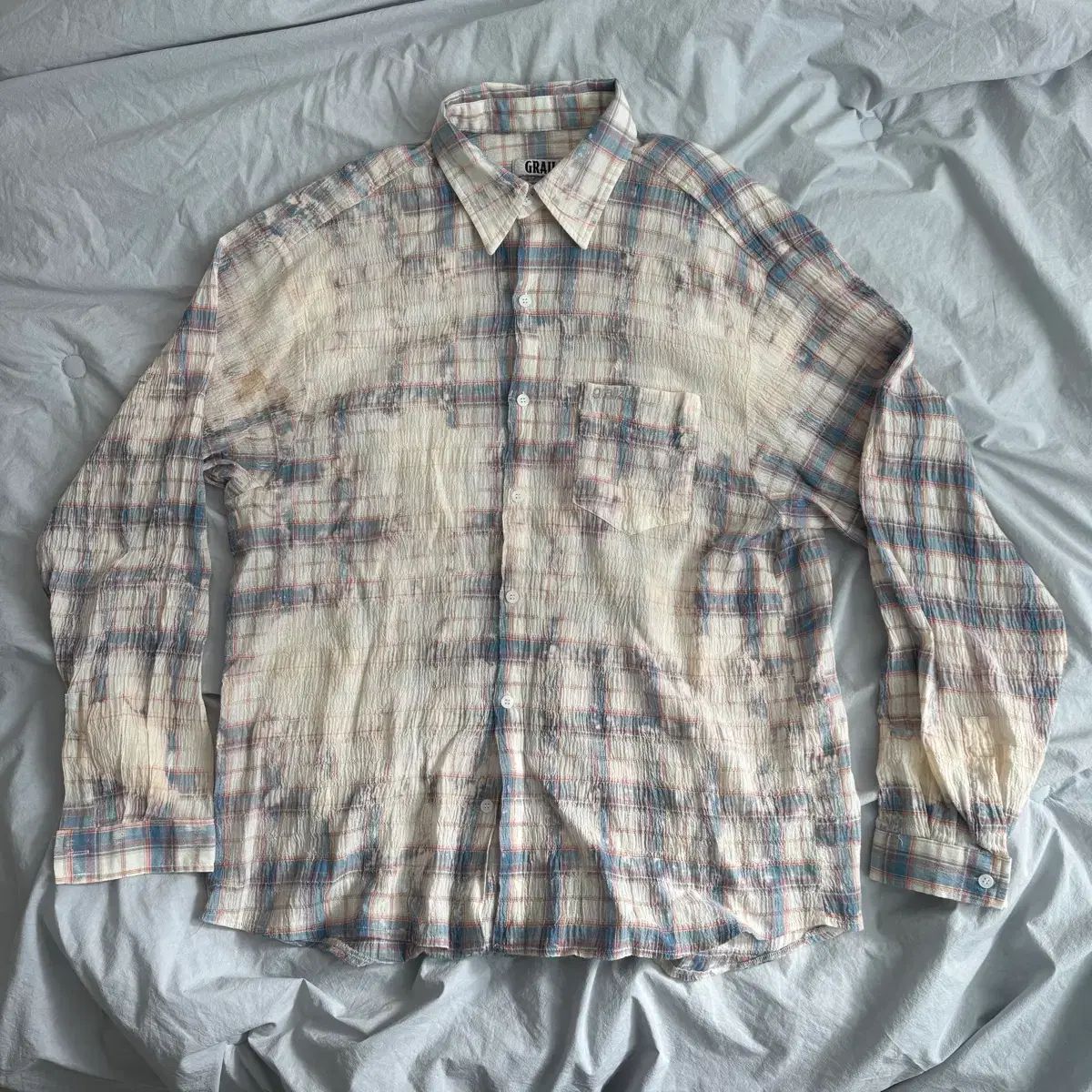 1039 アガベ チタノタ 麻花龍 裏棘 表棘 特選優良血統 極上株