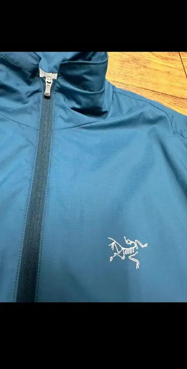  ARC TERYX ソフトシェル ガイアジャケット その他 アウター