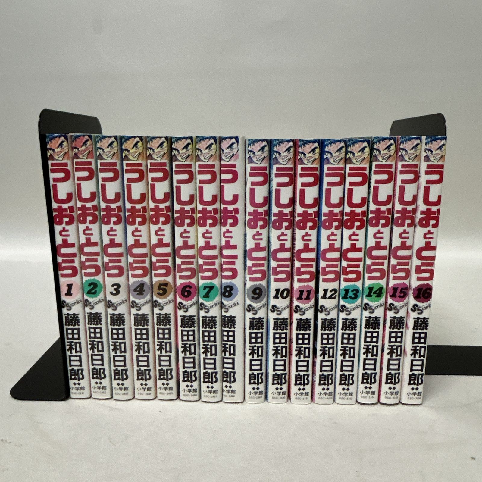 浜館01-567】 うしおととら 全33巻 藤田和日郎 小学館 全巻セット