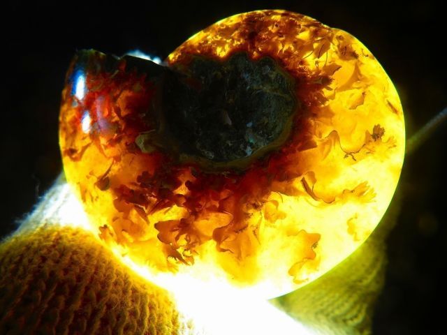 絶品数万個の中の一個☆天然マダガスカル産 ☆ 縫合線オパール