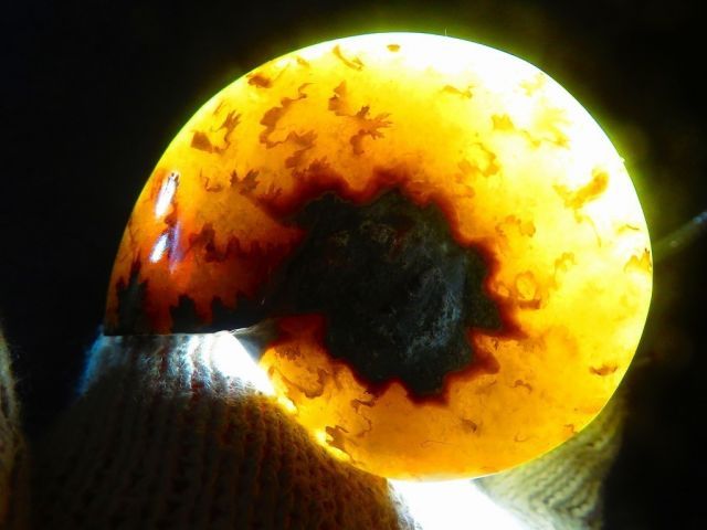  絶品数万個の中の一個 天然マダガスカル産 縫合線オパールアンモナイト 化石超巨大88ｇ 82ｍｍ tr 21386 C 1 オーナメント ラッピング 包装