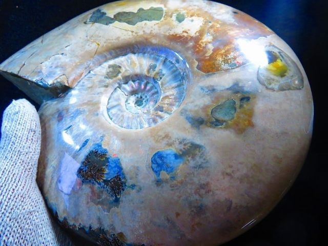 天然マダガスカル産 縫合線オパールアンモナイト