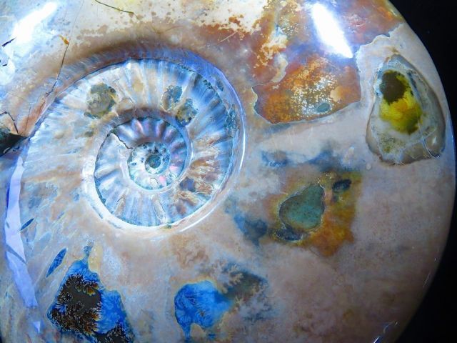 天然マダガスカル産